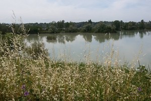 Laghi artificiali nella riserva del Fiume Secchia