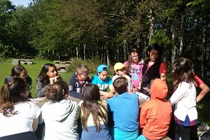 Orienteering 1