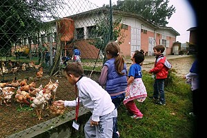 Classi Prime: Alla Cascina del Prevosto