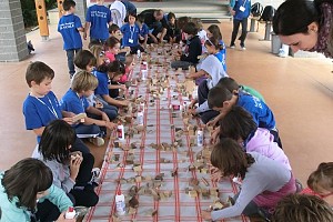 Classi Seconde: Costruiamo il nostro gioco di legno