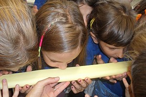 Classi Terze: Che buon profumo...