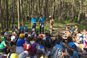 Una caccia al tesoro nel bosco... in inglese