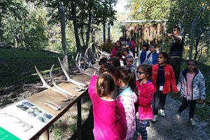 Le classi seconde al Parc Animalier di Introd