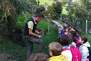 Un vero riccio!