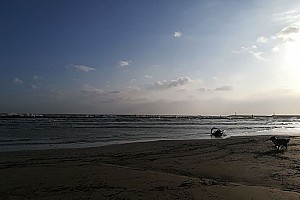 Senigallia