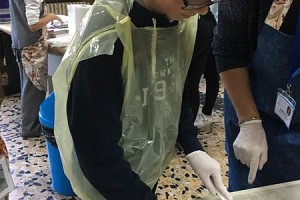 Laboratorio di arte 