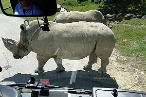 Safari Park Pombia 3