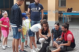 I Maestri pi� curiosi dei bambini...