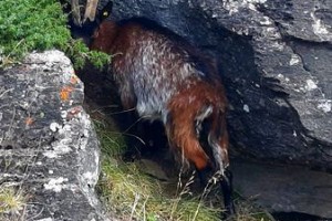 Incontri speciali 1