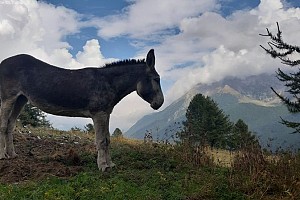Incontri speciali 2