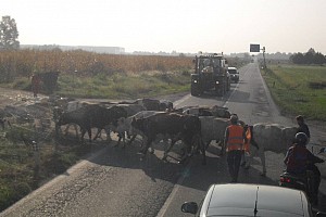 Un incontro imprevisto...