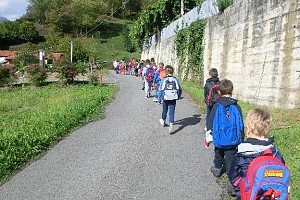 In cammino verso il bosco...