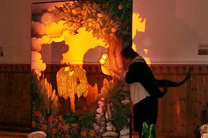 Il gufo saggio svela come possono volare gli alberi