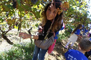 Anche le maestre vendemmiano