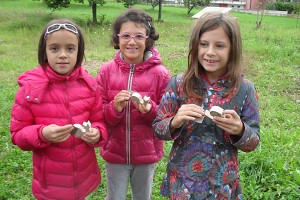 Carteggiando le nostre balene