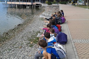 In riva al Lago di Viverone