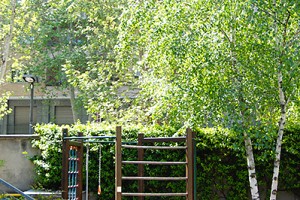 Il cortile