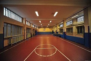 La palestra
