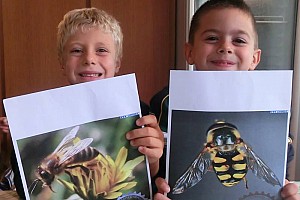 Classi Prime: Conosciamo le api